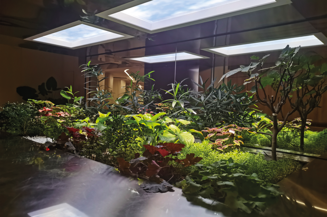 Skywindows – A luz do dia na palma de sua mão!