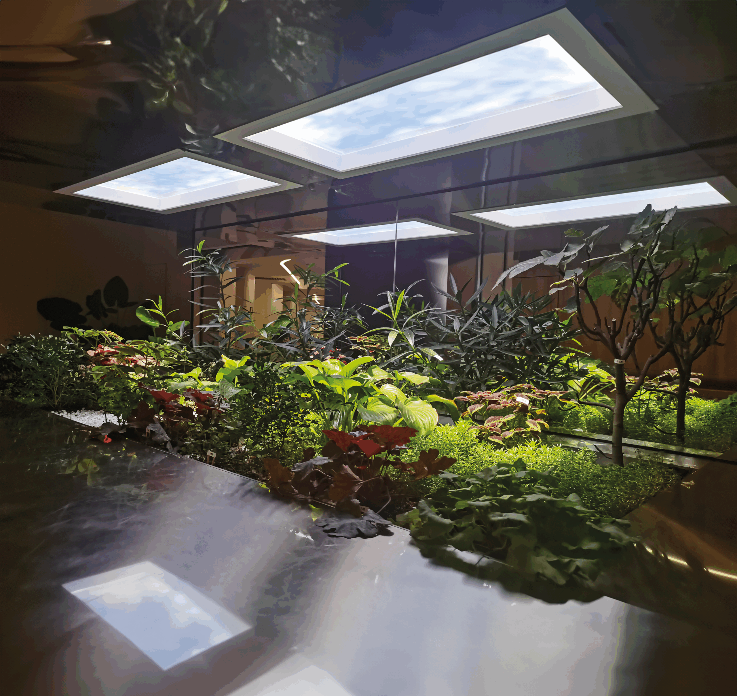 FOTO APLICADA SKYWINDOWS JARDIM DE INVERNO